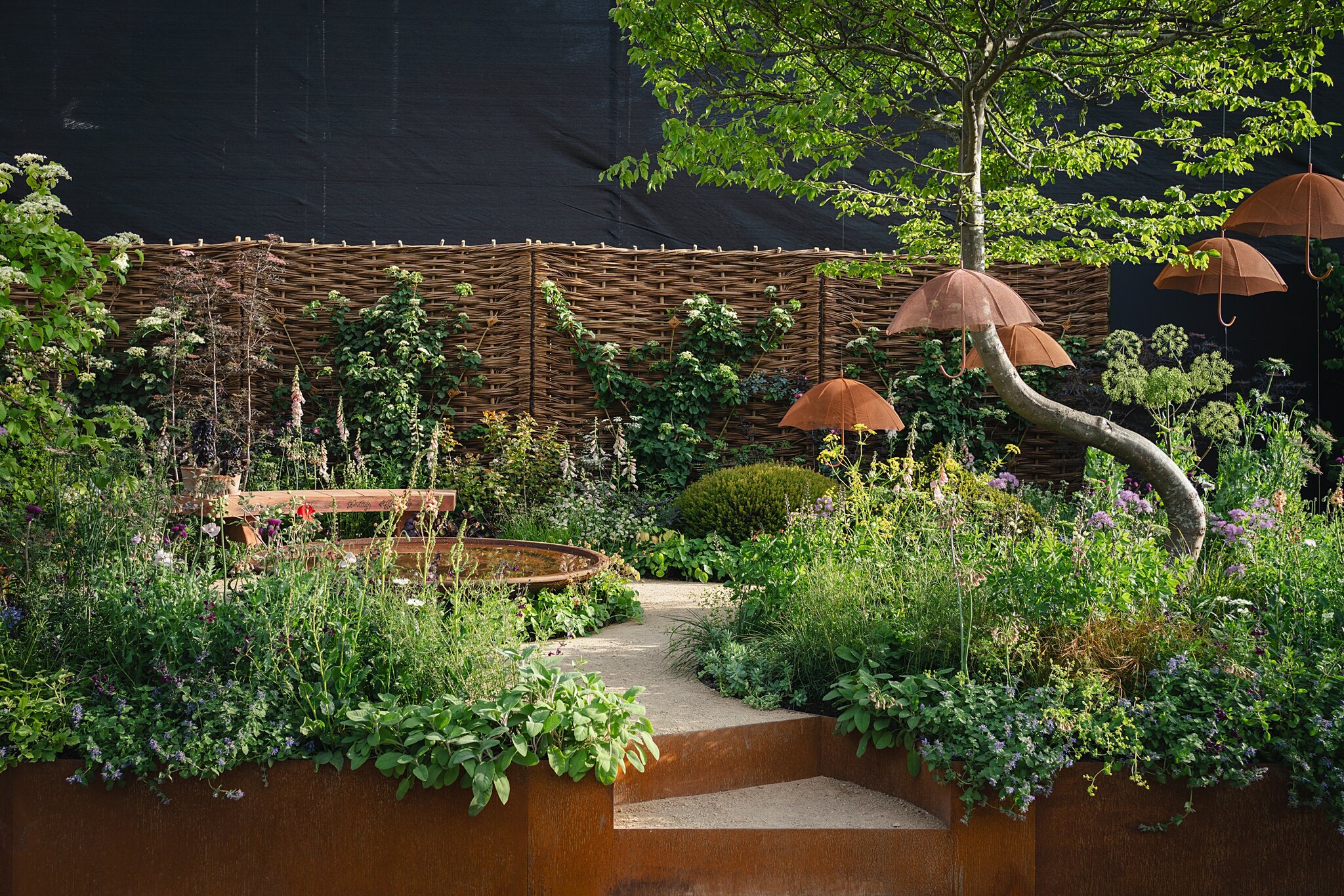 Chelsea ADHD. Photo credit to Katy