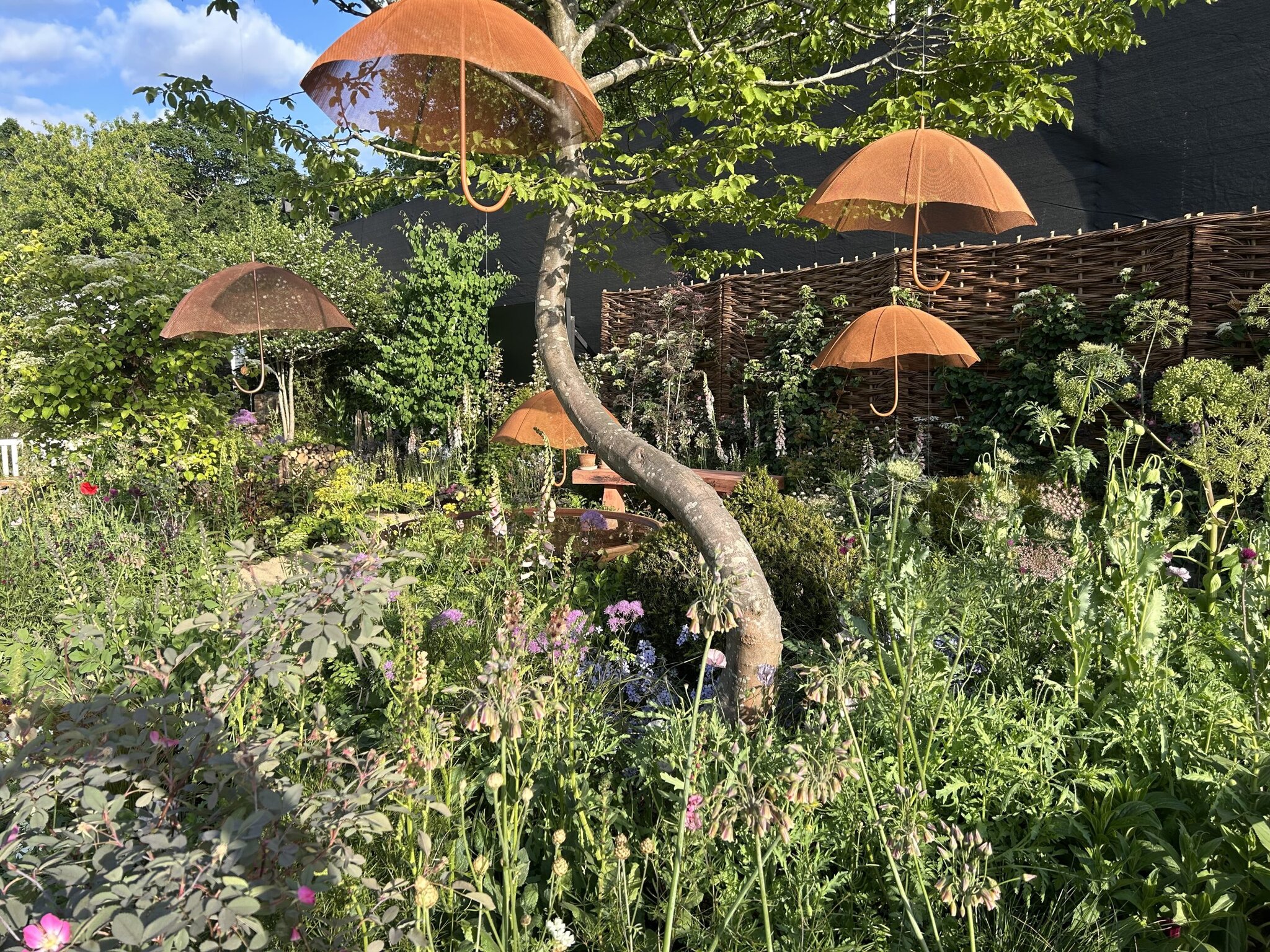 ADHD Foundation Garden, designed by Katy Terry 