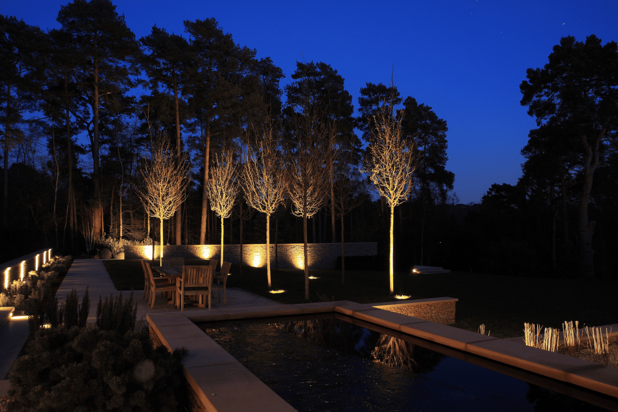 Gentle lighting on trees by a seating area