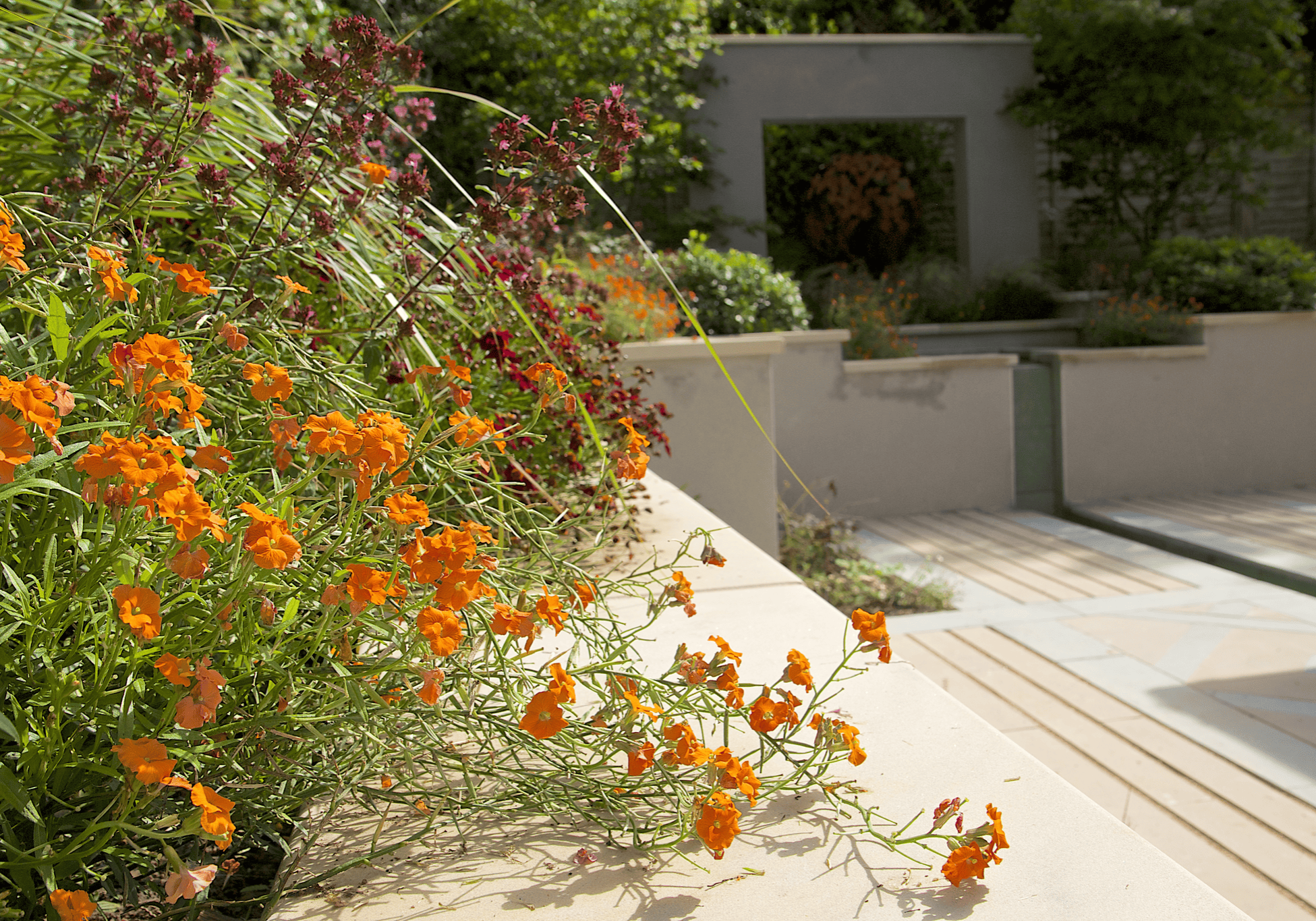 Haslemere Garden 10 of 36