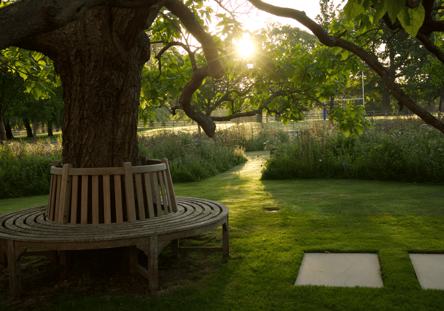 PCL Summers lodge Wild flower meadow T2 1939 3