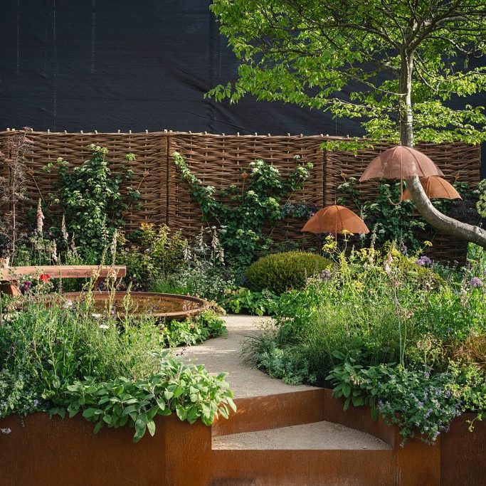 WEB Chelsea ADHD Katy 0116